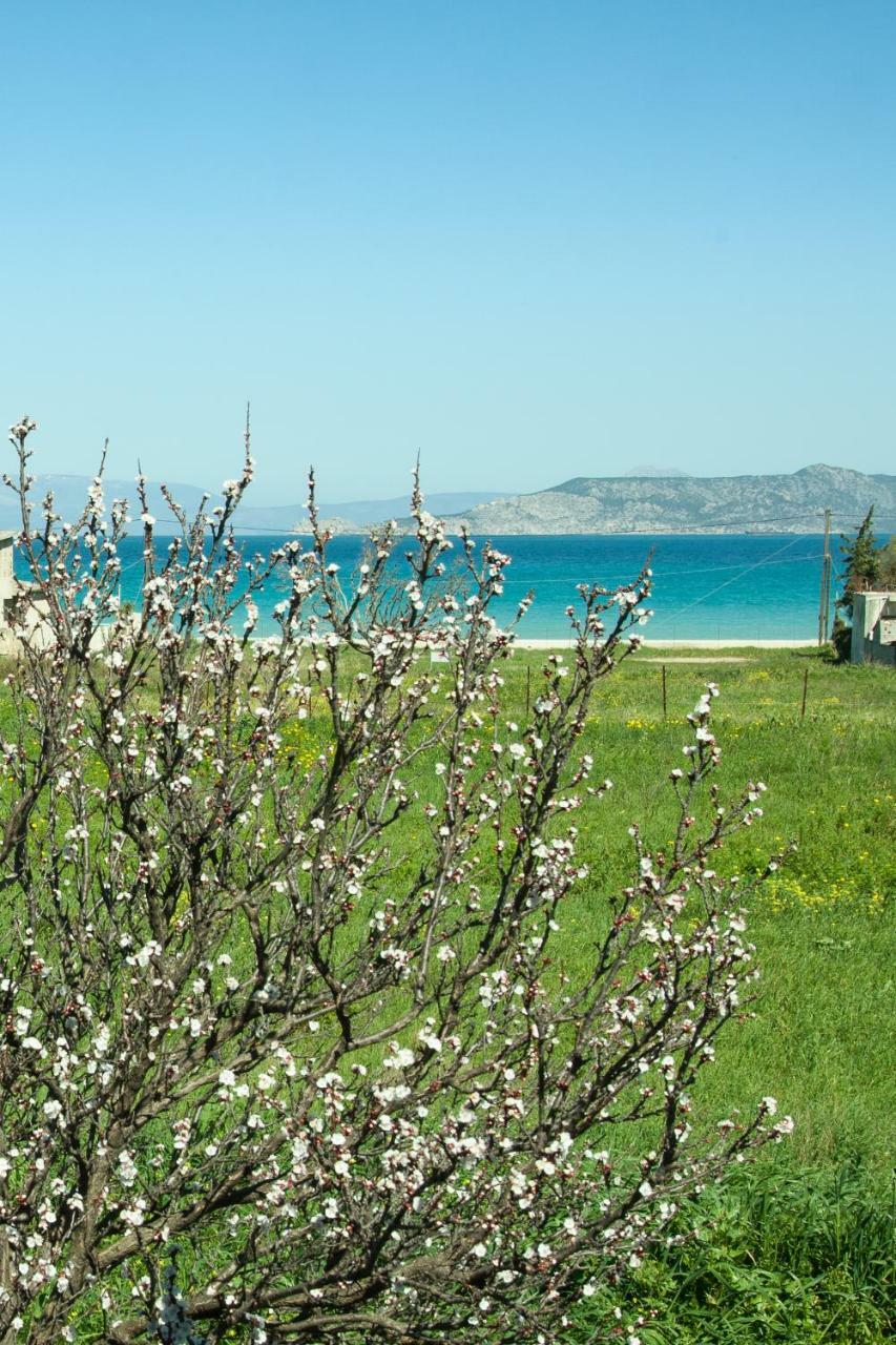 Phoenix Beachside Condos Kokkonion ภายนอก รูปภาพ